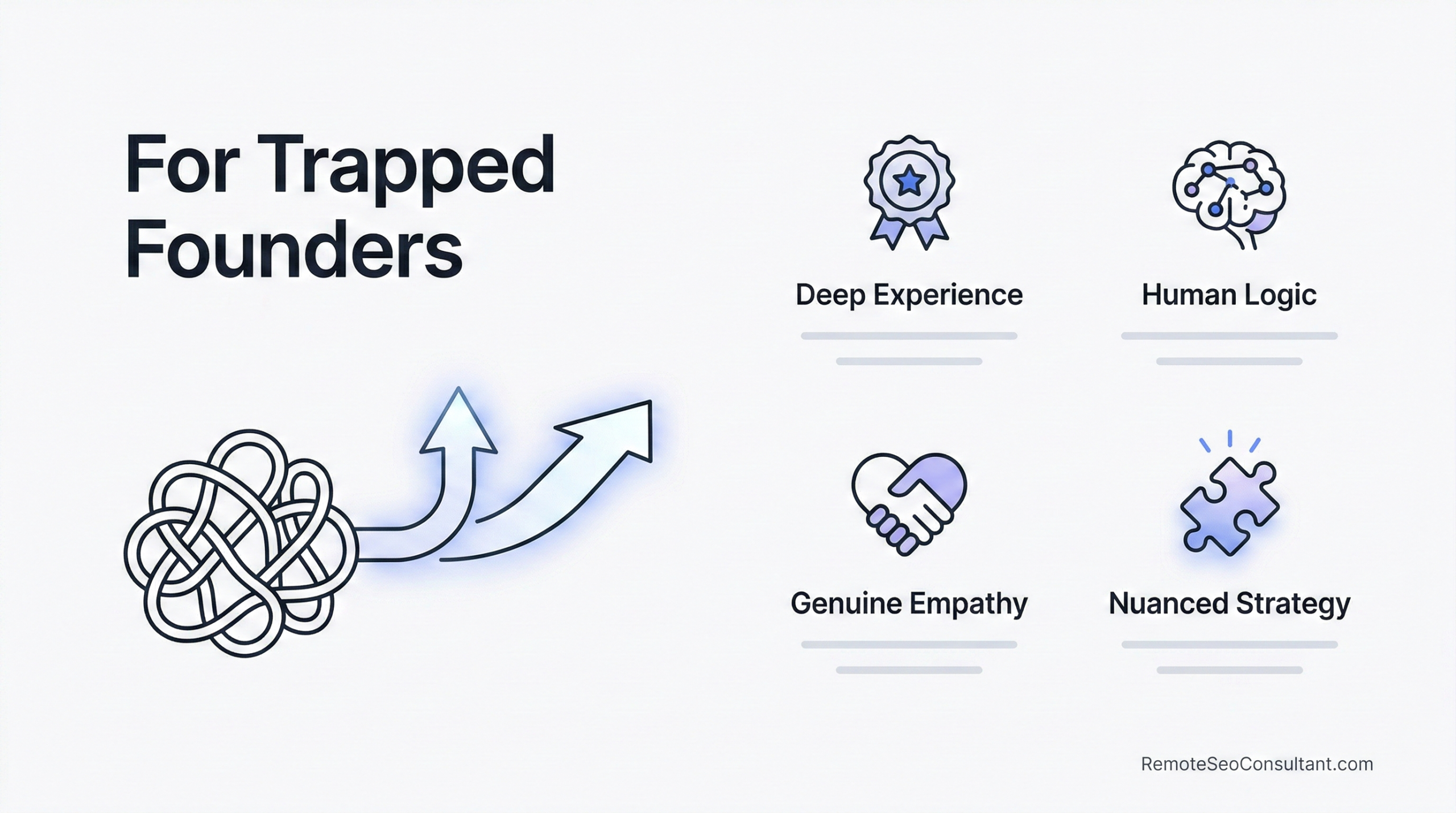 remote wordpress website developer